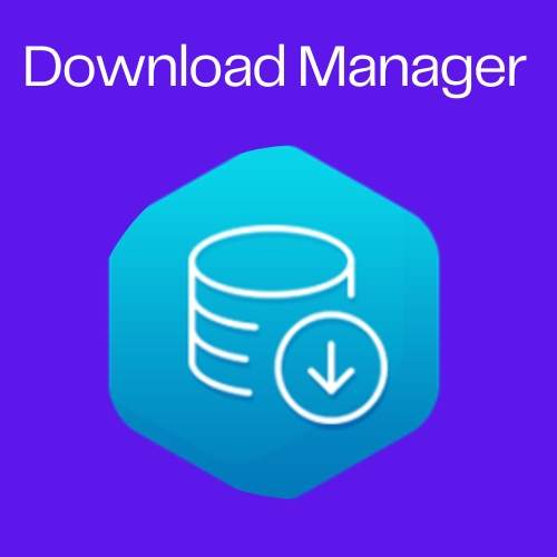 Download Manager